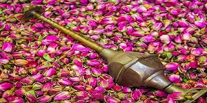 تصویر 3 از قیمت غنچه گل خشک با کیفیت ارزان + خرید عمده